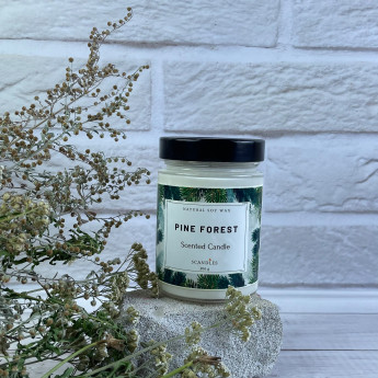 Ароматична свічка Major Gift - Pine Forest